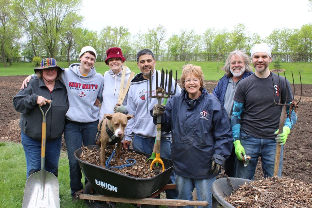 Gardeners use hand tools and wheel barrows to prepare soil for a city food forest in Columbia Heights, MN.