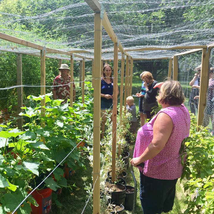 People touring a vegetable garden in Columbia Heights, MN.