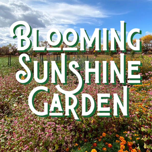 Blooming Sunshine Garden