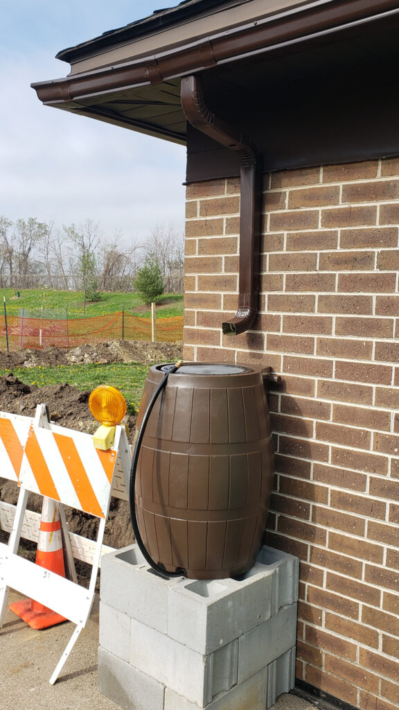 A rain barrel collects rain water from the Łomianki Park building gutters to be used for watering plants in the Blooming Sunshine food forest in Columbia Heights, MN.